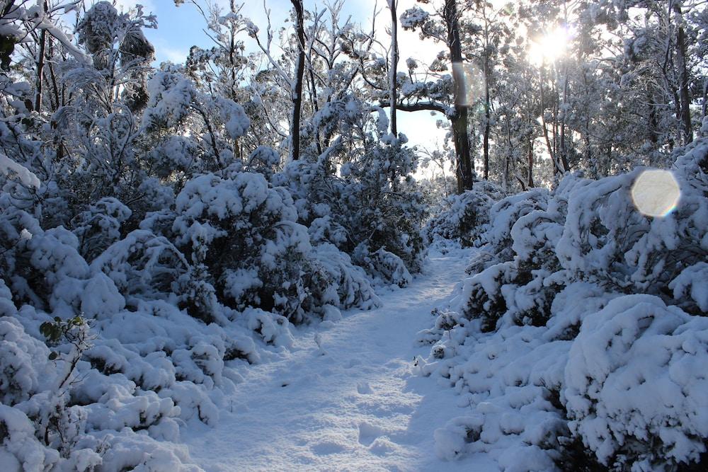 Cradle Mountain Hotel Εξωτερικό φωτογραφία