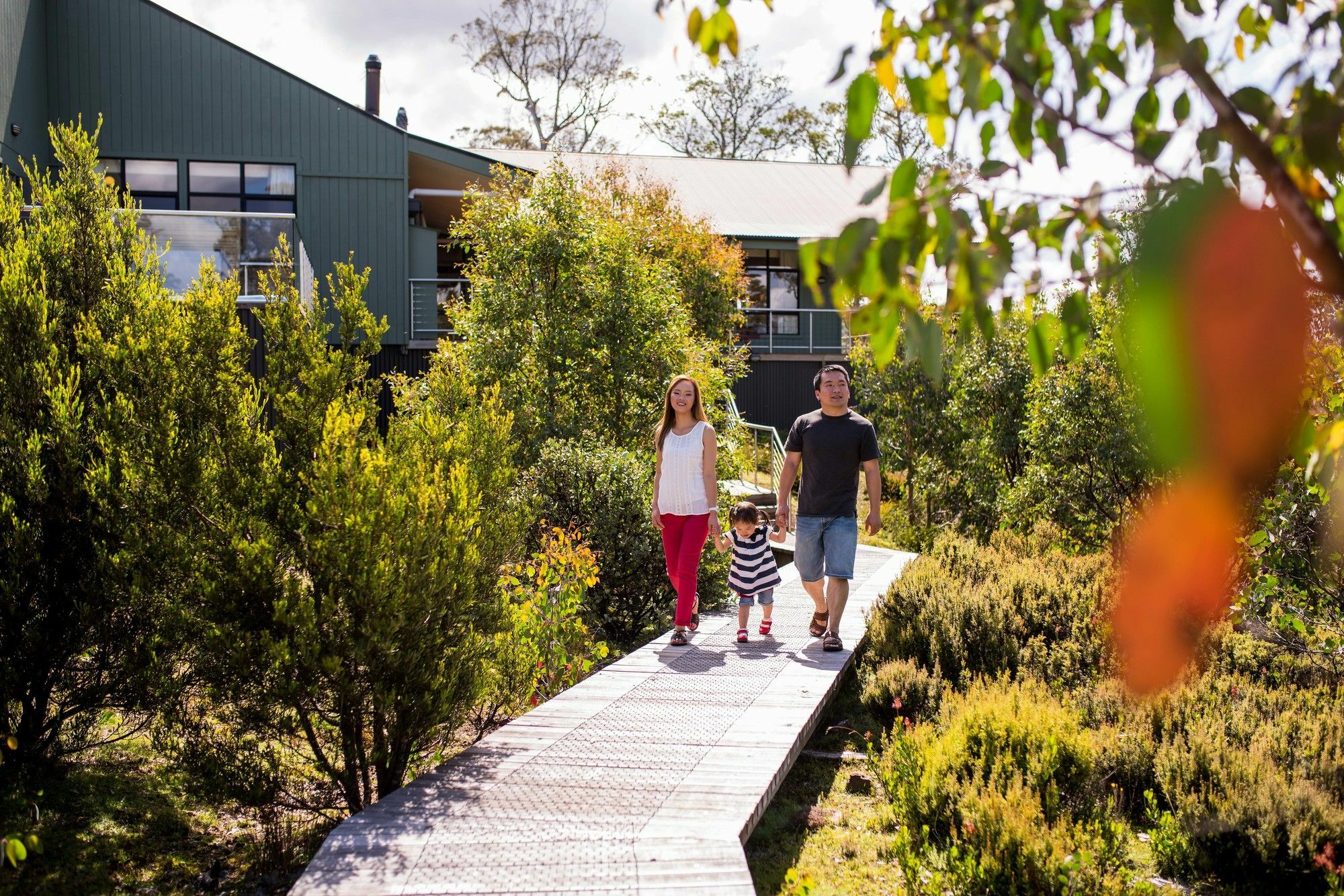 Cradle Mountain Hotel Εξωτερικό φωτογραφία